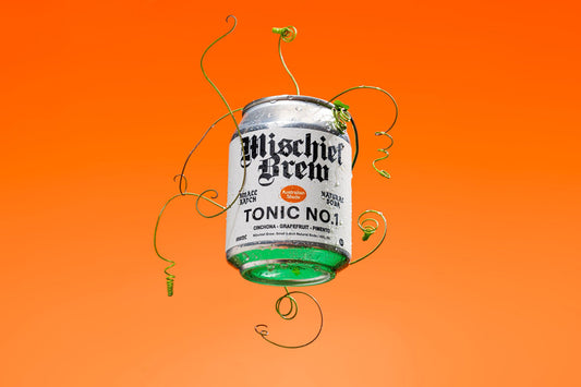 Mischief Brew 4 pack - Tonic 1