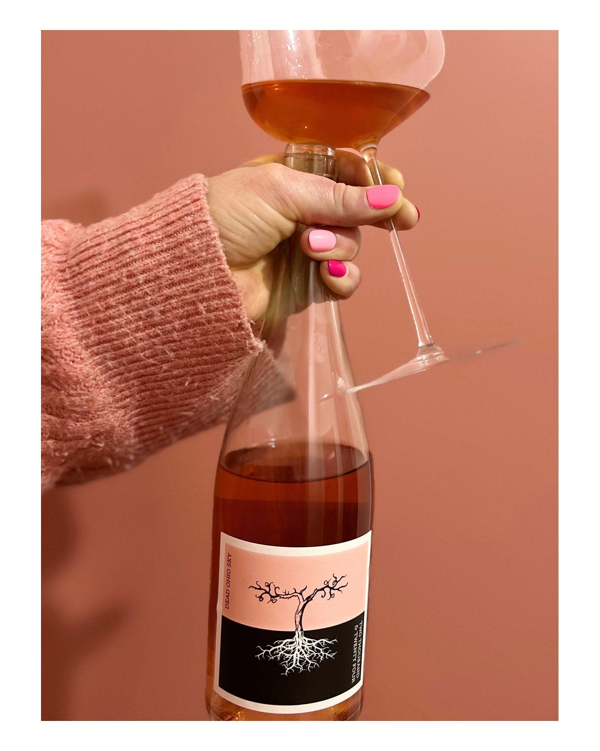 Dead Ohio Sky Rose - Poppelve 2024