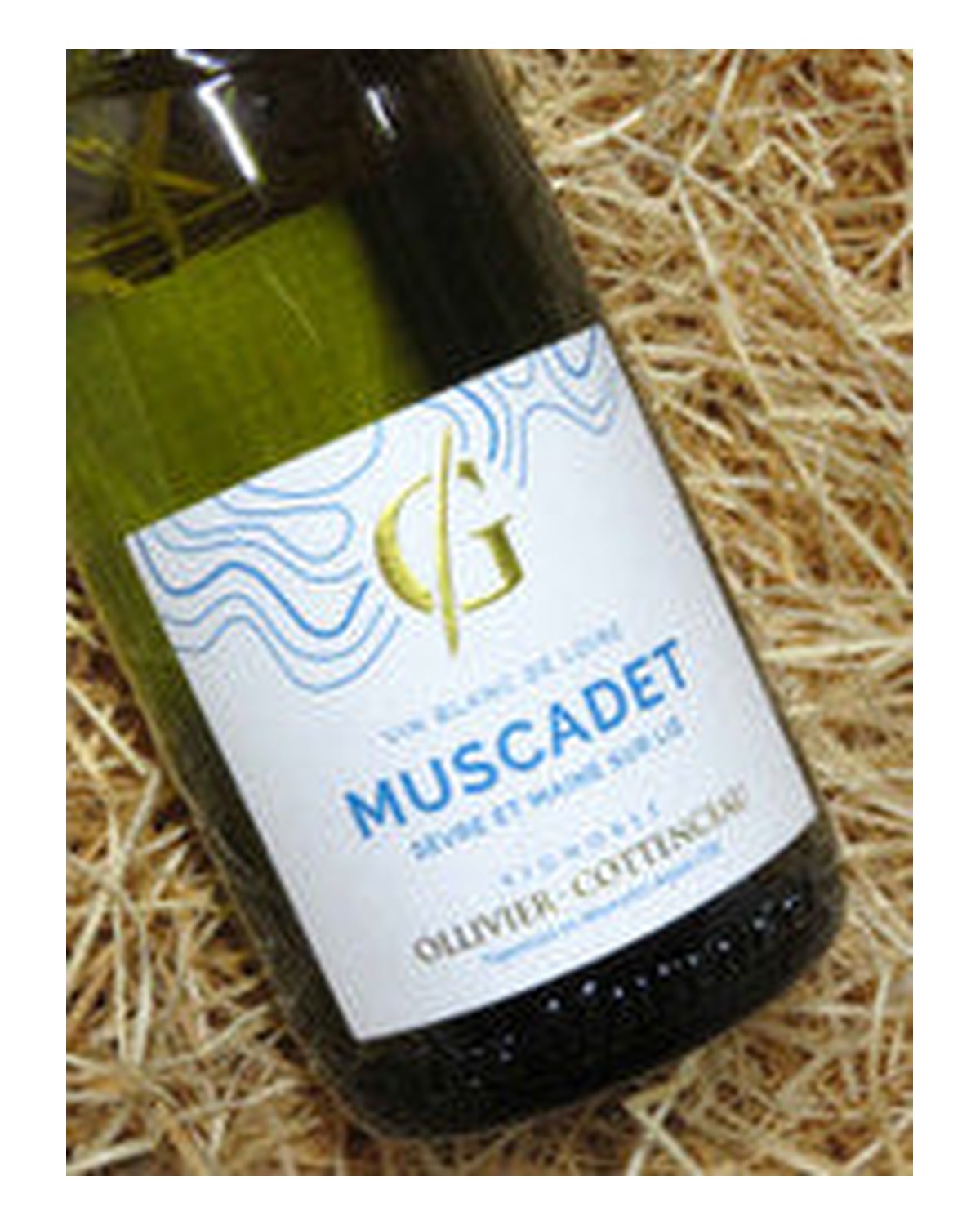 Ollivier-Cottenceau Muscadet 2023