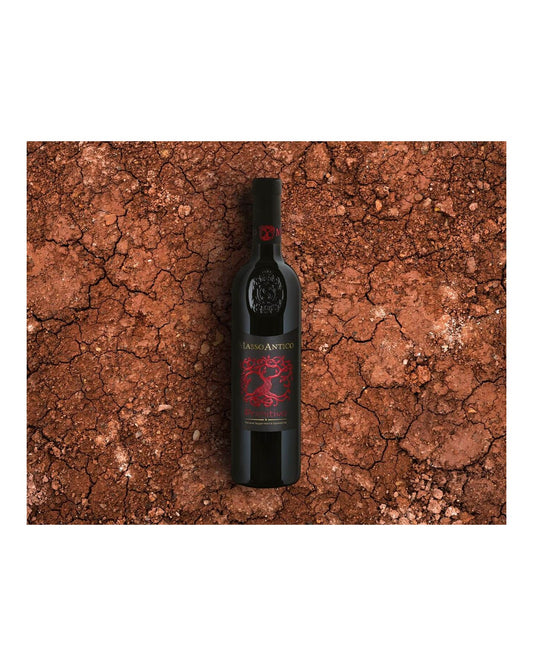 Masso Antico Primitivo 2023