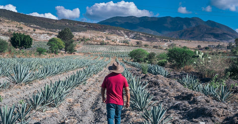 ARROQUEÑO MEZCAL 750ML